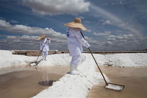 Sal Marinho Sal Grosso E Flor De Sal Charcutaria Org