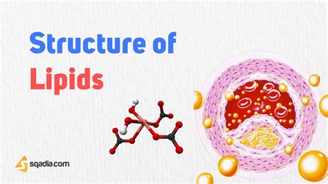 Structure of Lipids - Biochemistry