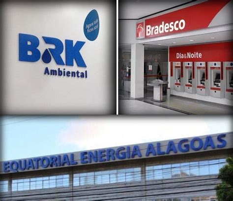 Brk Equatorial E Bradesco Lideram Lista De Empresas Mais