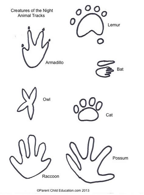 animal track coloring pages