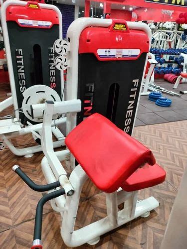 Bicep Curl Machine For Gym Size 2 5 Feet At Rs 32000 In Meerut ID