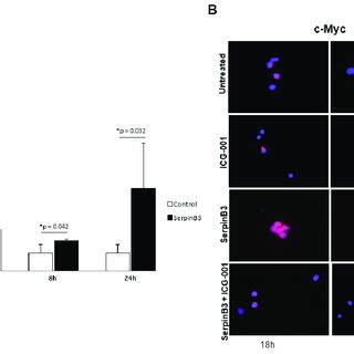 C Myc Expression In Monocytic Cells A A Time Course Analysis Of