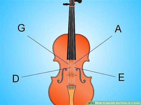 How to Identify the Parts of a Violin: 10 Steps (with Pictures)