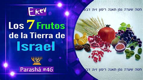 Los Frutos De Israel Y Su Gran Ense Anza Parashat Ekev Youtube