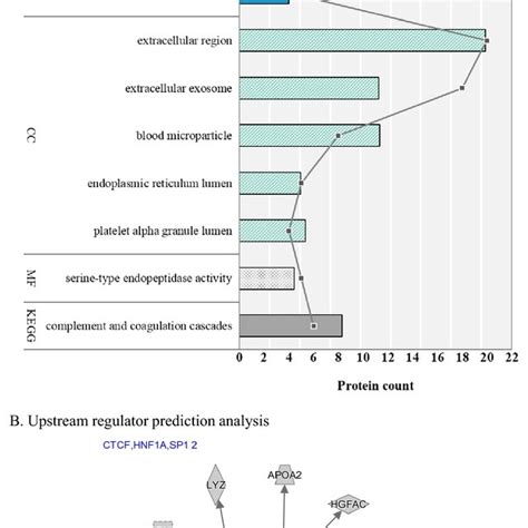 Bioinformatics Analysis Of The Differentially Expressed Proteins