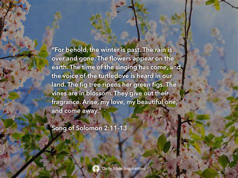 Song Of Solomon Daily Bible Inspirations