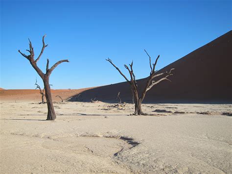 The Dunes of Sossusvlei - Infinite Safari Adventures blog | Infinite ...