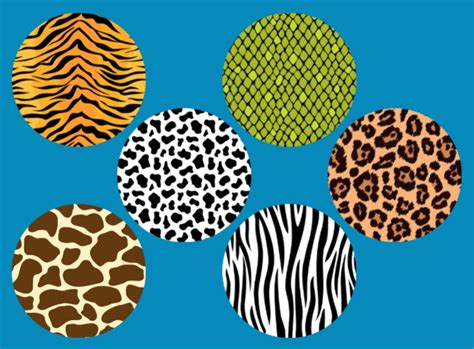 Animal Hide Patterns 6 Patch Set Large Solid Overlays The Sugar Patch