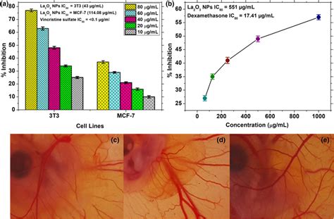 Anticancer Potential Of The Htla O Nps A Mtt Cytotoxic Assay