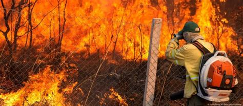 Cu L Es El Estado Del Clima En Am Rica Latina Clima