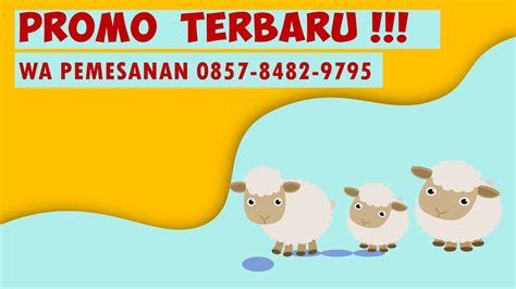 Jasa Pembuatan Video Promosi Animasi Hewan Kurban Qurban