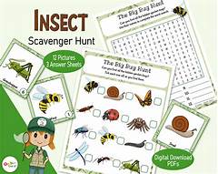 Fuzz Bug Treasure Hunt A Family%e2%80%99s Weekend Hike Turned Into A Nightmare