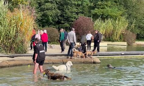 DogDay im Naturfreibad Bürgermeisterin Sandra Pietschmann