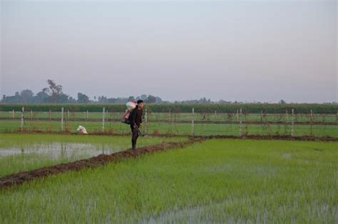 Premium Photo A Farmer From Asia Is Using A Knapsack Mist Duster To