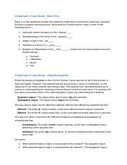 Ahp Wk Virtuallab Docx Virtual Lab Case Study Harry Chu