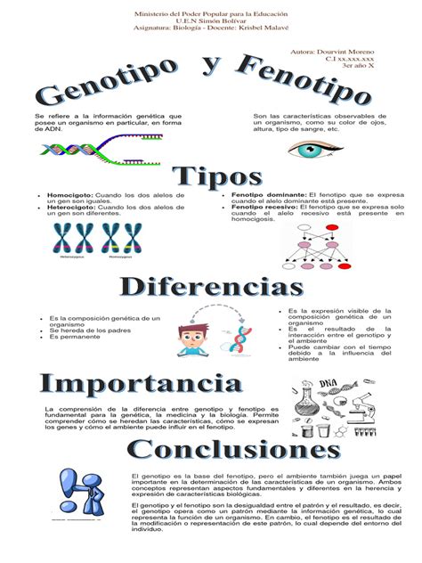 Fenotipo Y Genotipo Pdf Dominancia Genética Fenotipo