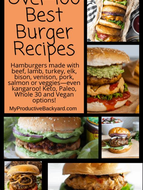 Kangaroo Burger Recipe | Dandk Organizer