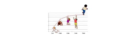 Courbes De Croissance Des Bébés Allaités Oms RÉnoal