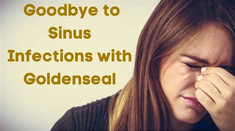 Sinus Infection Relief The Benefits Of Goldenseal Youtube