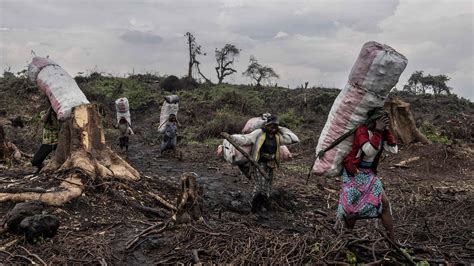 Pope Francis Visits Congo What To Know The New York Times