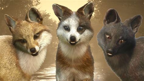 3 Rare Grey Foxes Melanistic Leucistic And Piebald Plus Other