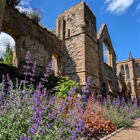 National Garden Scheme Nottinghamshire Open Gardens The Bramley