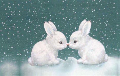 Winter Bunny Wallpapers Top Free Winter Bunny Backgrounds