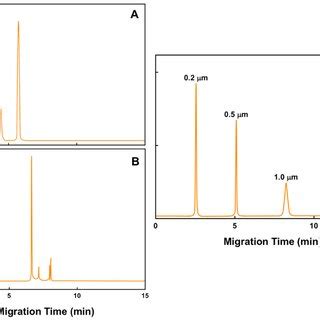 Schematic Representation Of Capillary Electrophoresis Separation Of Two