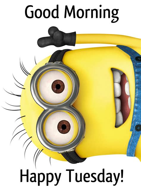 Pin By Nikhitha On Tuesday Minions Minions Love Despicable Minions