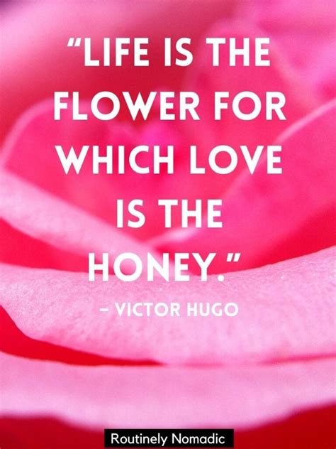 Short Flower Quotes 110 Amazing Flower Sayings Routinely Nomadic