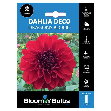 Bloomin Bulbs Dahlia Dragons Blood Pk