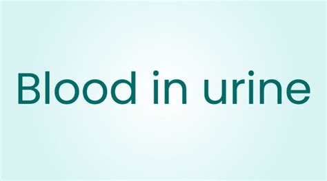 Blood in Urine: Causes, Symptoms, and Care - HealthKart