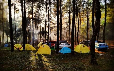 Wisata Bedengan Malang Yang Menjadi Wisata Alam Bumi Perkemahan