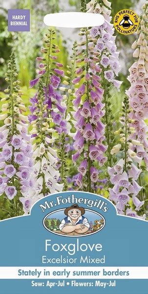 SEEDS FOXGLOVE EXCELSIOR MIX David Neill Mica