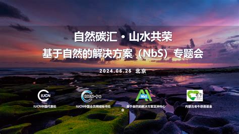 活动回顾丨2024基于自然的解决方案专题会成功举办，湿地nbs案例发布 保护地平台