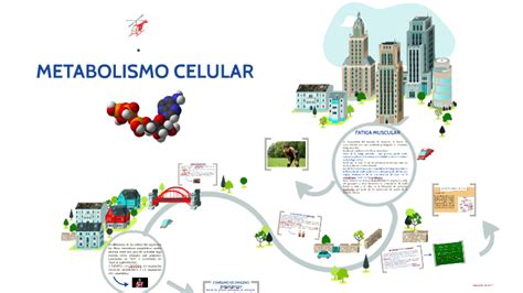 Metabolismo Celular By Mishel Espinoza On Prezi