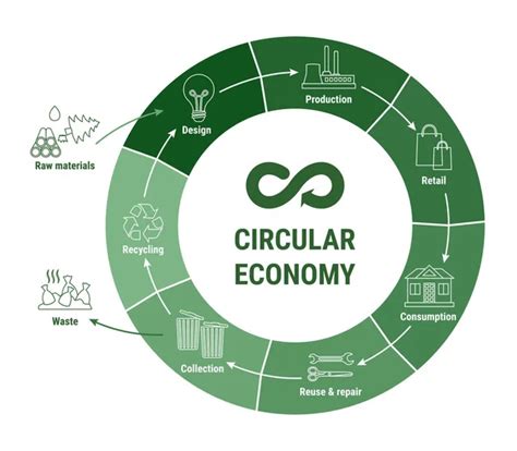 Infograf A De La L Nea De Econom A Circular En El Diagrama Verde