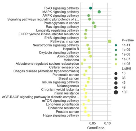 Integrative Analysis Of MiRNAmRNA Expression Profiles In Esophageal