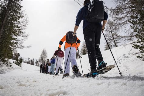 Si Chiude Con Successo La Prima Edizione Del Progetto Scuole Di