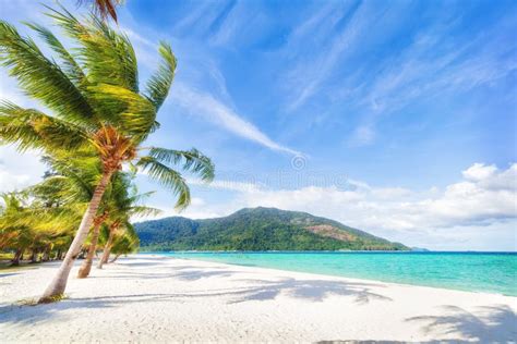 Asian Tropical Beach Paradise In Thailand Stock Image Image Of Nature