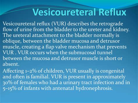 Solution Vesicoureteral Reflux Studypool