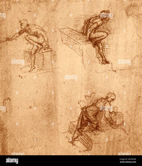 Los Estudios Del Movimiento De La Figura Humana Por Leonardo Da Vinci