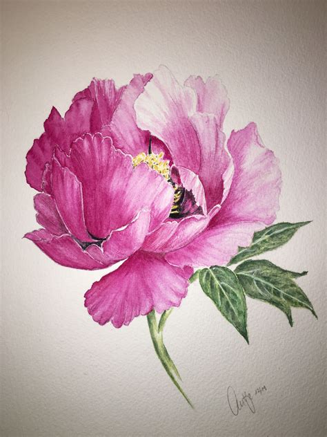 Pin Von Franziska Auf Aquarell Kunst Blumen Aquarell Blumen Malen