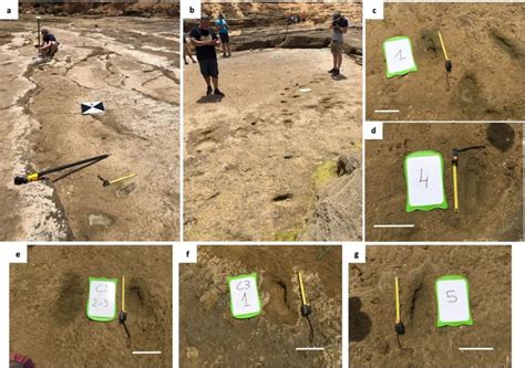 Pesquisadores descobrem uma trilha de pegadas humanas antiga e única no