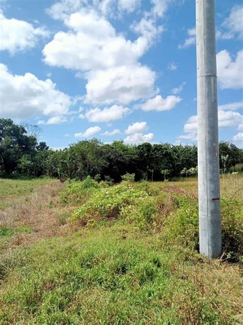 Discover Your Own Agricultural Paradise Caluangan Magallanes Cavite