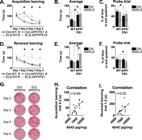 Targeting Glucocorticoid Receptors Prevents The Effects Of Early Life