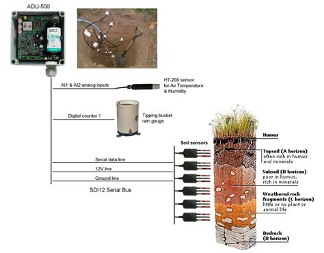 In Situ Measurement Of Soil Moisture With Sdi Sensors Infinite