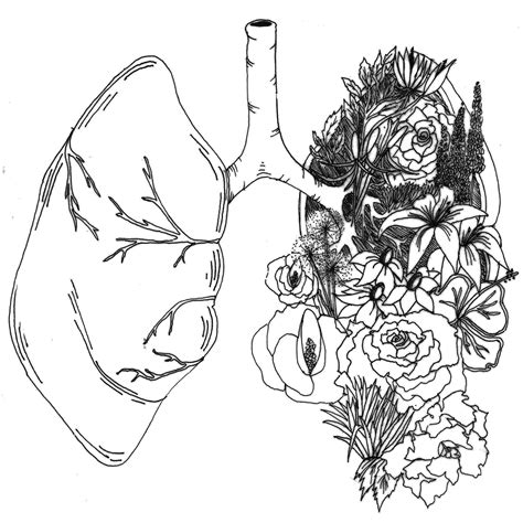 Lungs Clip Art Black And White Sketch Coloring Page