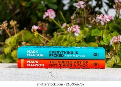 17 Subtle Art Not Giving Fuck Images Stock Photos Vectors Shutterstock