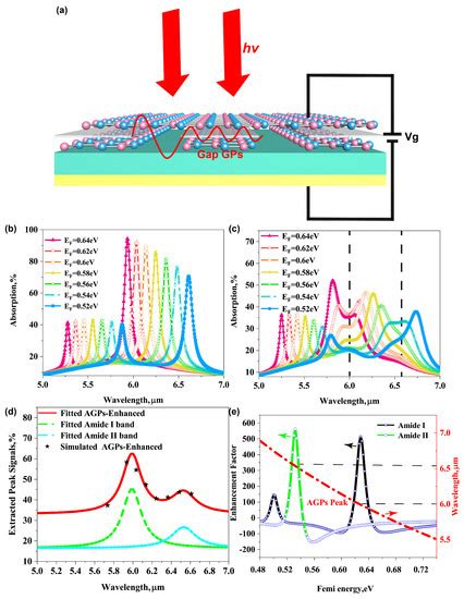 Biosensors Free Full Text Enhanced Molecular Infrared Spectroscopy